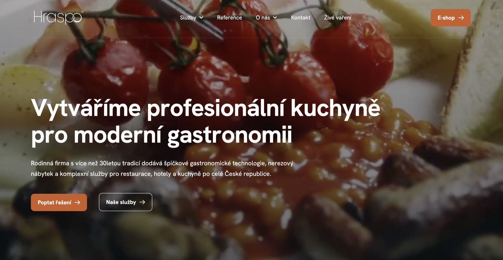 Náhled webu hraspo.cz